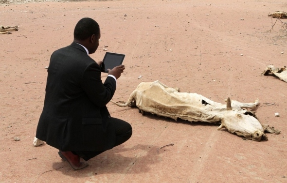 Elhullott tehenet fotóz iPadjével egy segélymunkás a kenya-szomáliai határnál