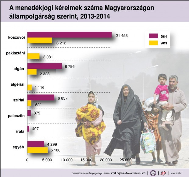 A menedékjogi kérelmek száma Magyarországon állampolgárság szerint, 2013-2014