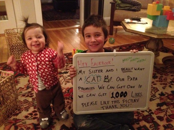 Letarolja az internetet a macskáért könyörgő gyerekek fotója
