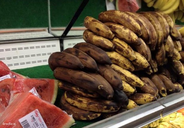 A rohadó gyümölcsök a CBA-ban című sorozat legújabb főszereplője: a banán
