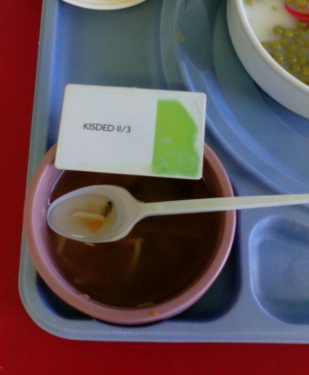 Csótányt fogtak a levesben a BAZ megyei kórházban